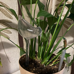 Automatic Plant Watering System – Self-Watering Bulbs (Ball & Bird)