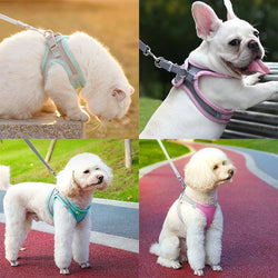 Cat Harness Leash Set – Adjustable & Comfortable for Small Breeds