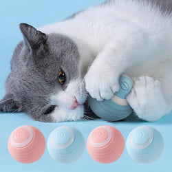 Automatic Moving Cat Toy – Rechargeable Interactive Rolling Ball