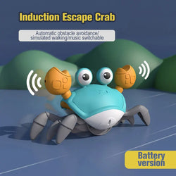 Dancing Crab Baby Crawling Toy – Musical & Moving