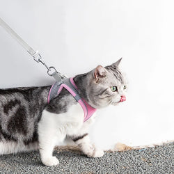 Cat Harness Leash Set – Adjustable & Comfortable for Small Breeds