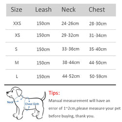 Cat Harness Leash Set – Adjustable & Comfortable for Small Breeds