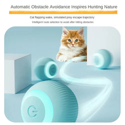 Automatic Moving Cat Toy – Rechargeable Interactive Rolling Ball