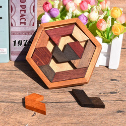 Hexagonal Wooden Puzzles – Montessori IQ Brain Teaser