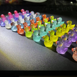 50-Piece Luminous Miniature Ducks – DIY Garden Decorations