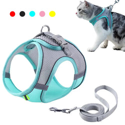 Cat Harness Leash Set – Adjustable & Comfortable for Small Breeds