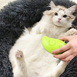 3-in-1 Pet Brush: Electric Cat and Dog Grooming Brush with Steam