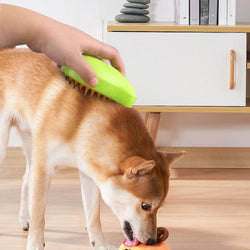 3-in-1 Pet Brush: Electric Cat and Dog Grooming Brush with Steam