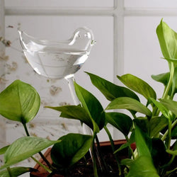 Automatic Plant Watering System – Self-Watering Bulbs (Ball & Bird)